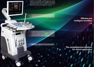 China El CE/ISO aprobó el equipo quirúrgico médico del analizador del ultrasonido con el color Doppler proveedor