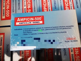 China La ampicilina encapsula 250MG 500MG BP/medicinas de las penicilinas de USP proveedor