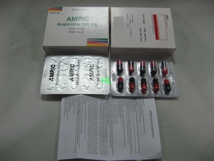 China La ampicilina encapsula 250MG 500MG BP/medicinas de las penicilinas de USP proveedor