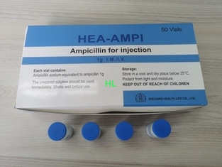 China La inyección 1.0g Antibiosis del polvo del sodio de la ampicilina droga 3 años de fecha de caducidad proveedor