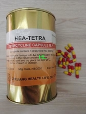 China El ácido clorhídrico de la tetraciclina encapsula 250MG 500MG BP/medicinas de los antibióticos de USP proveedor